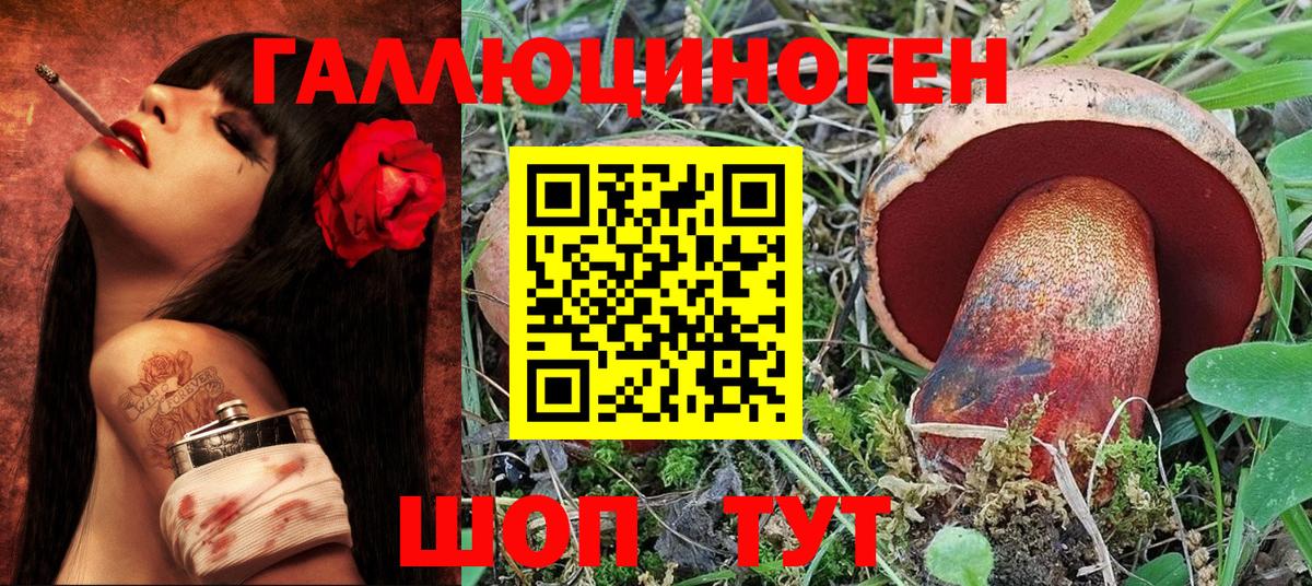 Псилоцибиновые грибы мицелий Ачинск