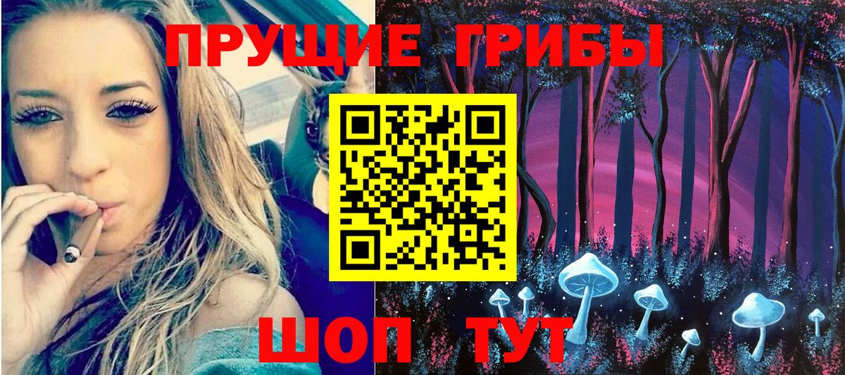 Галлюциногенные грибы Cubensis  купить наркотики цена  Вход с VPN  Ачинск  Галлюциногенные грибы мицелий 
